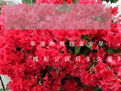 寧波外教殺害女學(xué)生被提起公訴 提起公訴后多久審判？